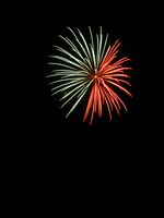 fete montjavoult 008