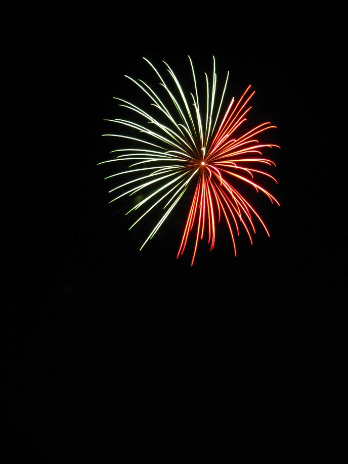 fete_montjavoult_008.JPG