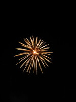 fete montjavoult 007