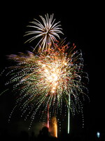 fete montjavoult 011