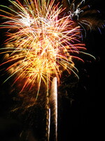 fete montjavoult 012