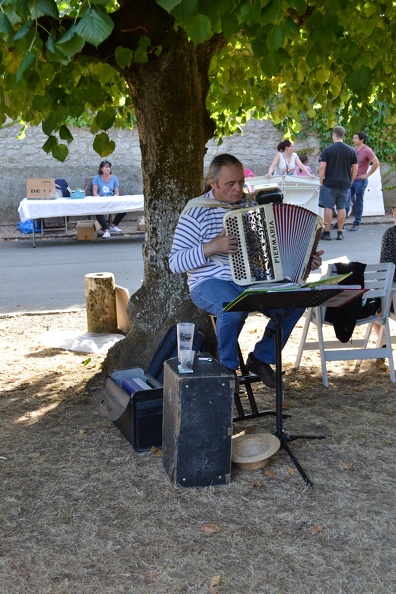 brocante_montjavoult_10.jpg